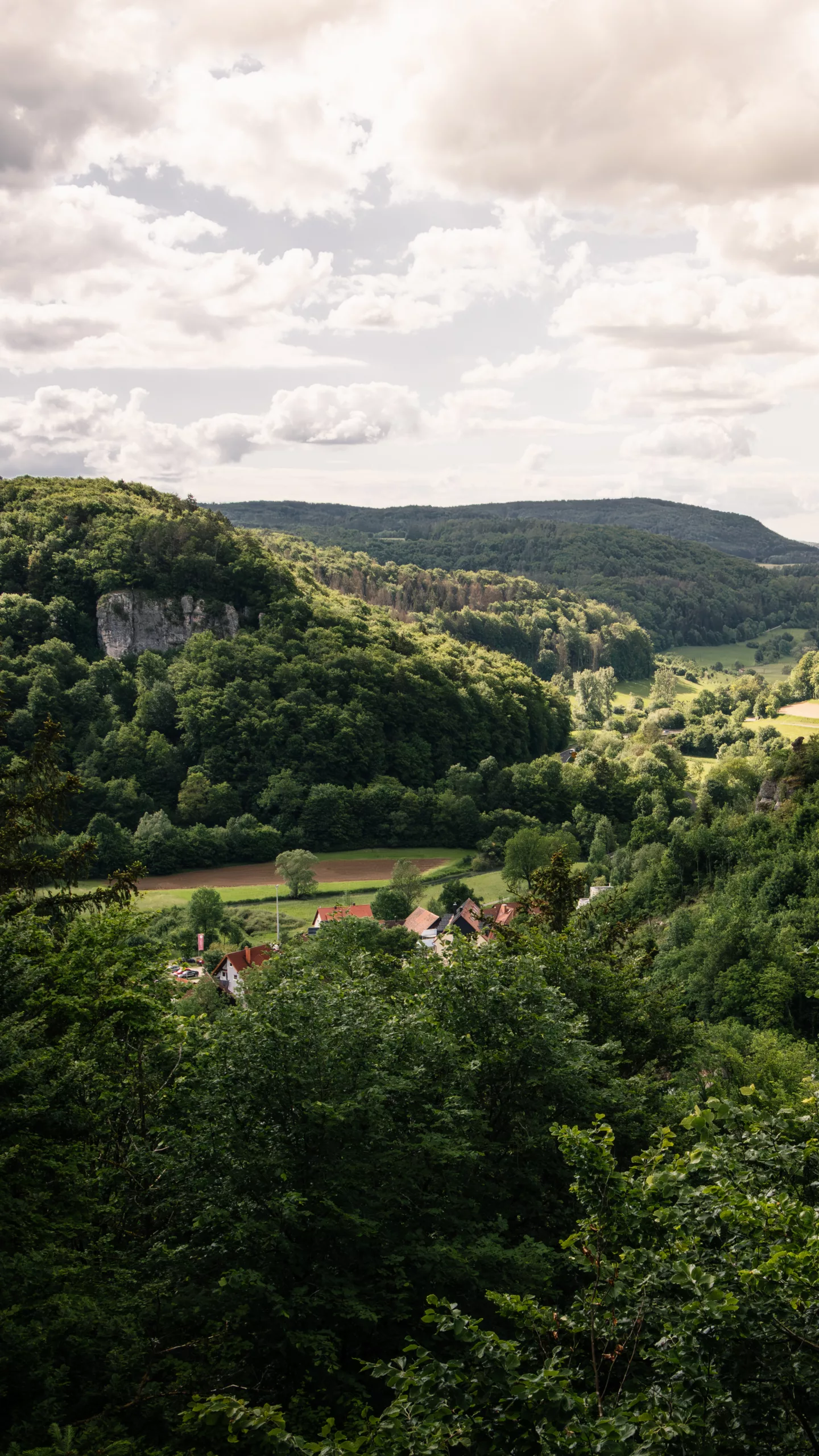 Leidingshofer Tal Veilbronn