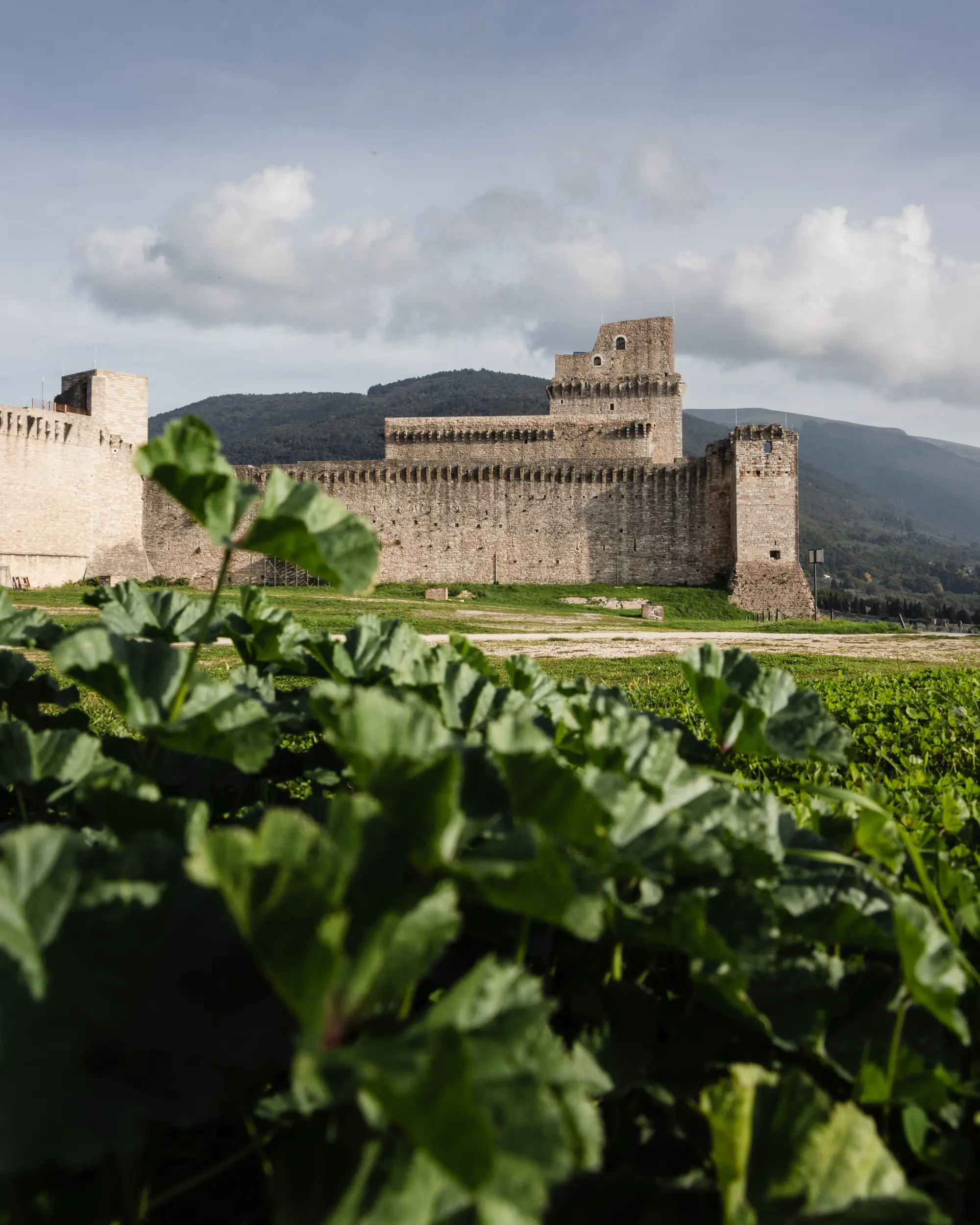 Rocca Maggiore
