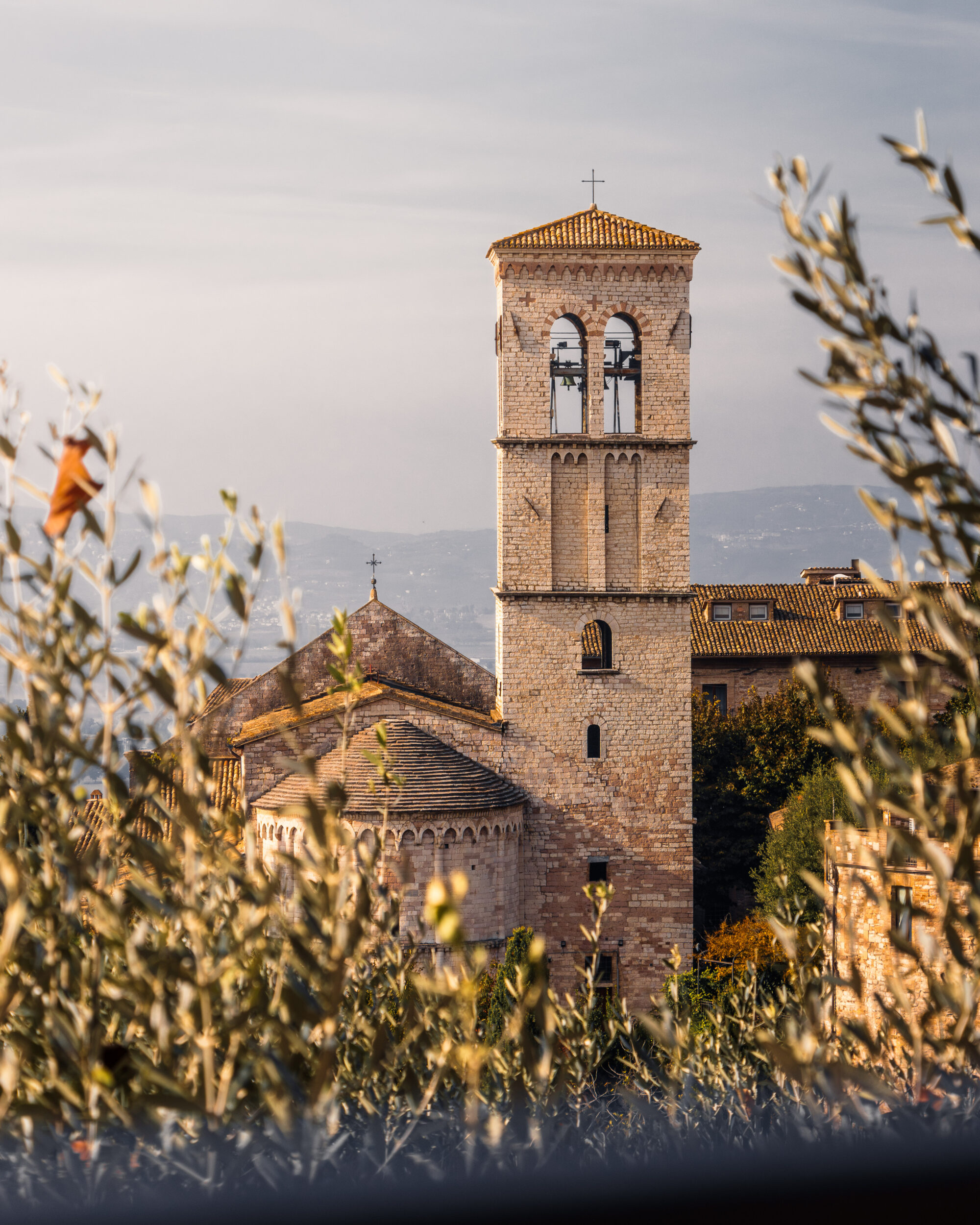 Santa Maria Maggiore, Assisi