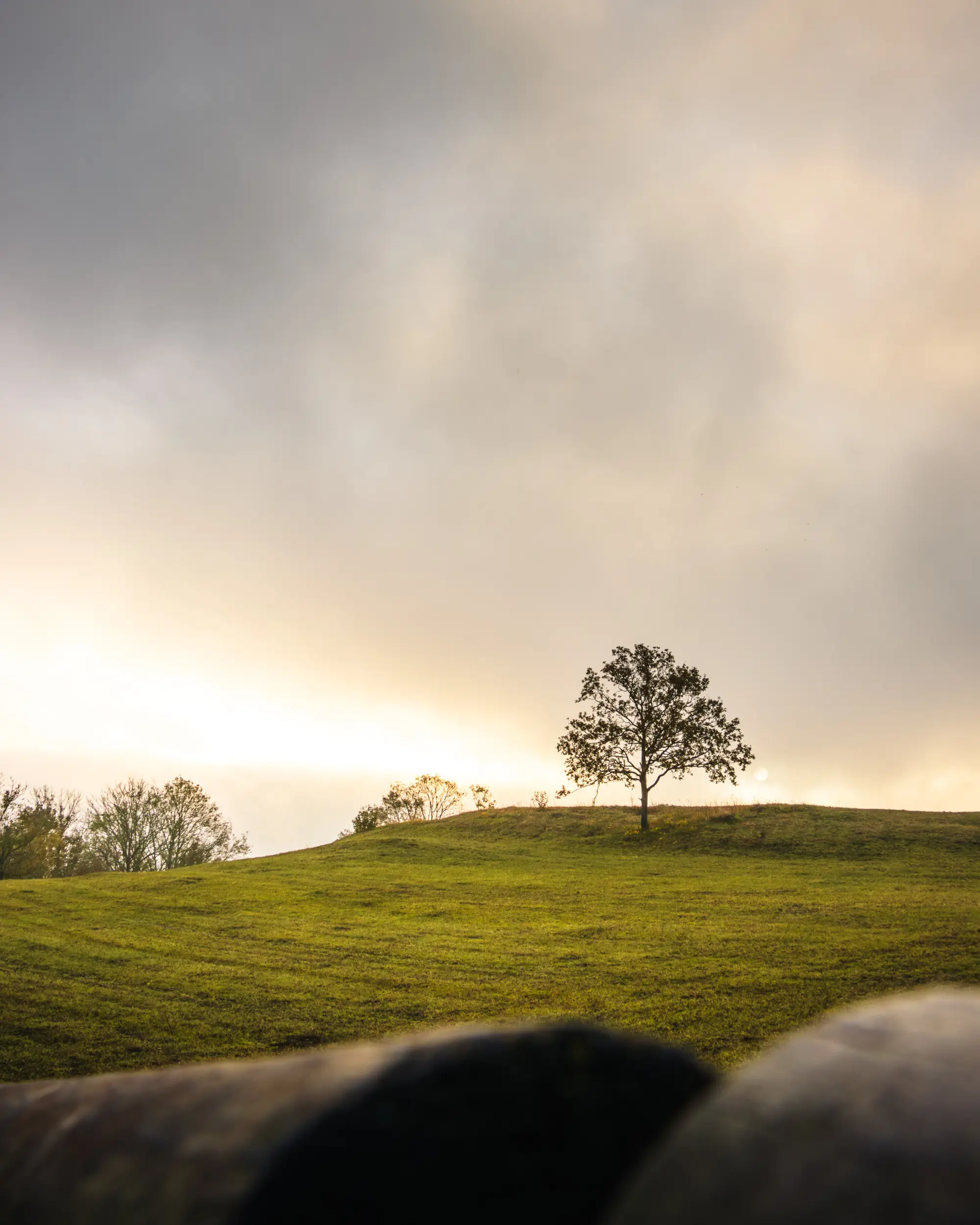 Goldene Morgenstimmung auf dem Walberla