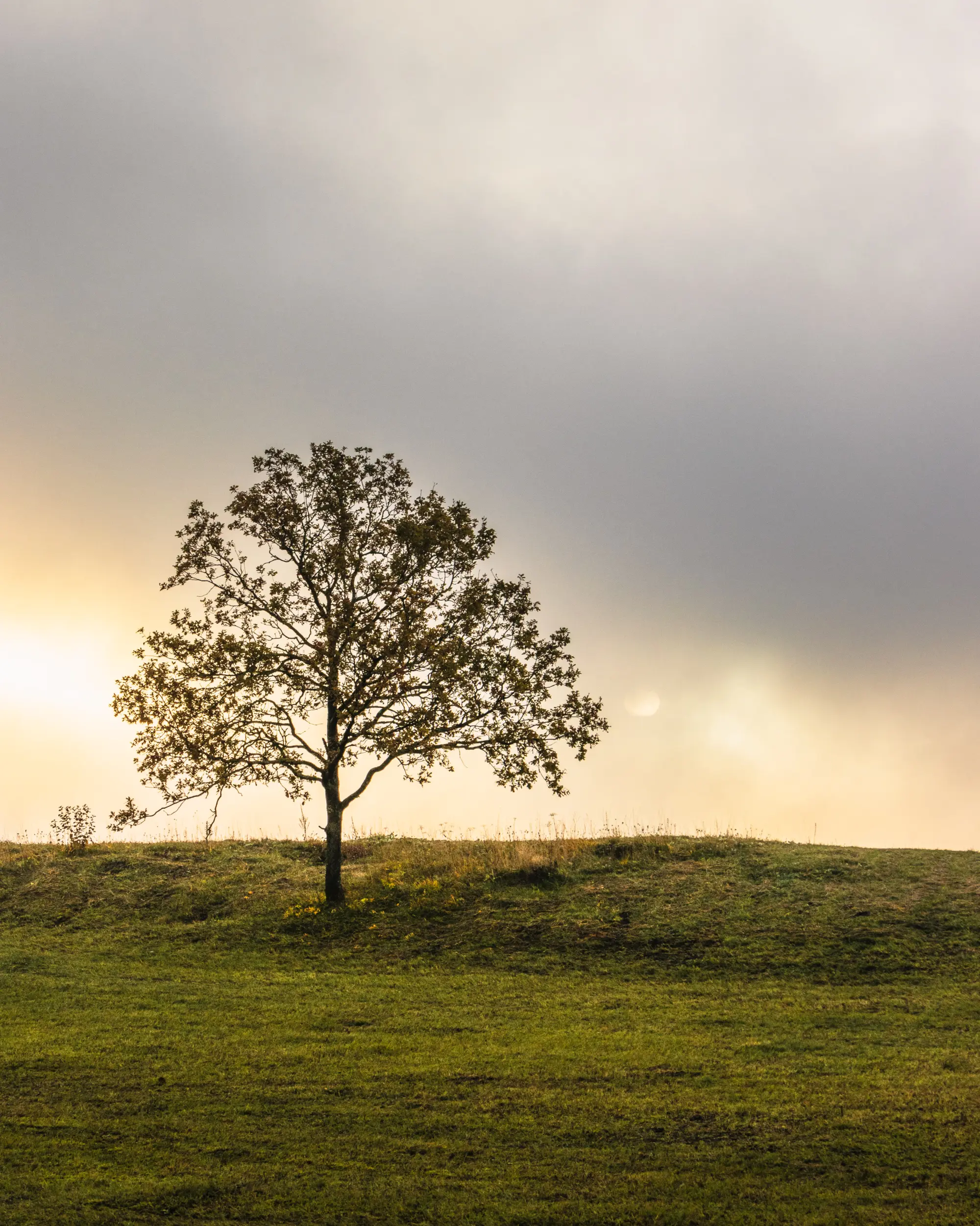 Die Sonne kämpfte sich auf dem Walberla durch den Nebel