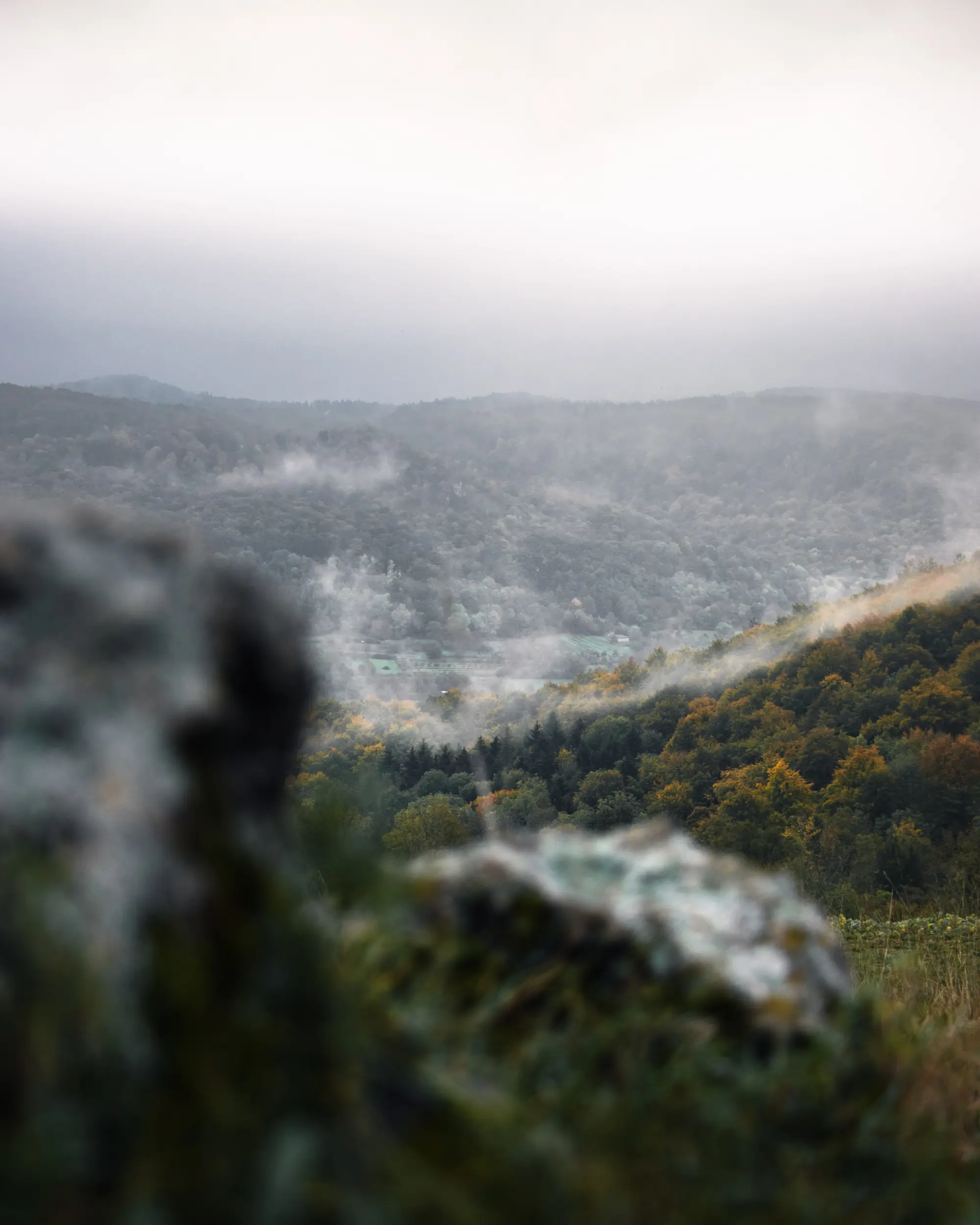 Der Nebel hängt noch im Wiesenttal