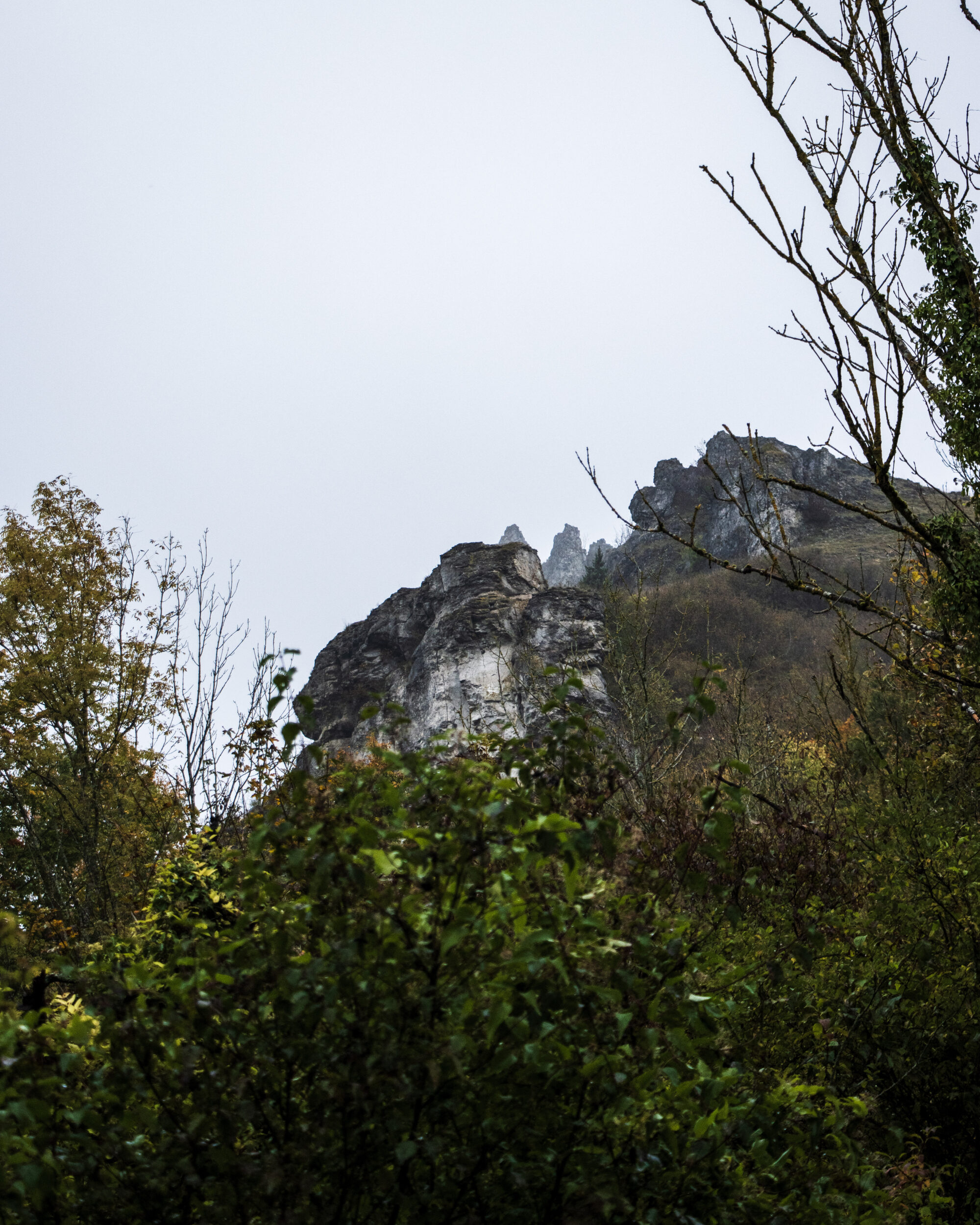 Blick nach oben Richtung Walberla