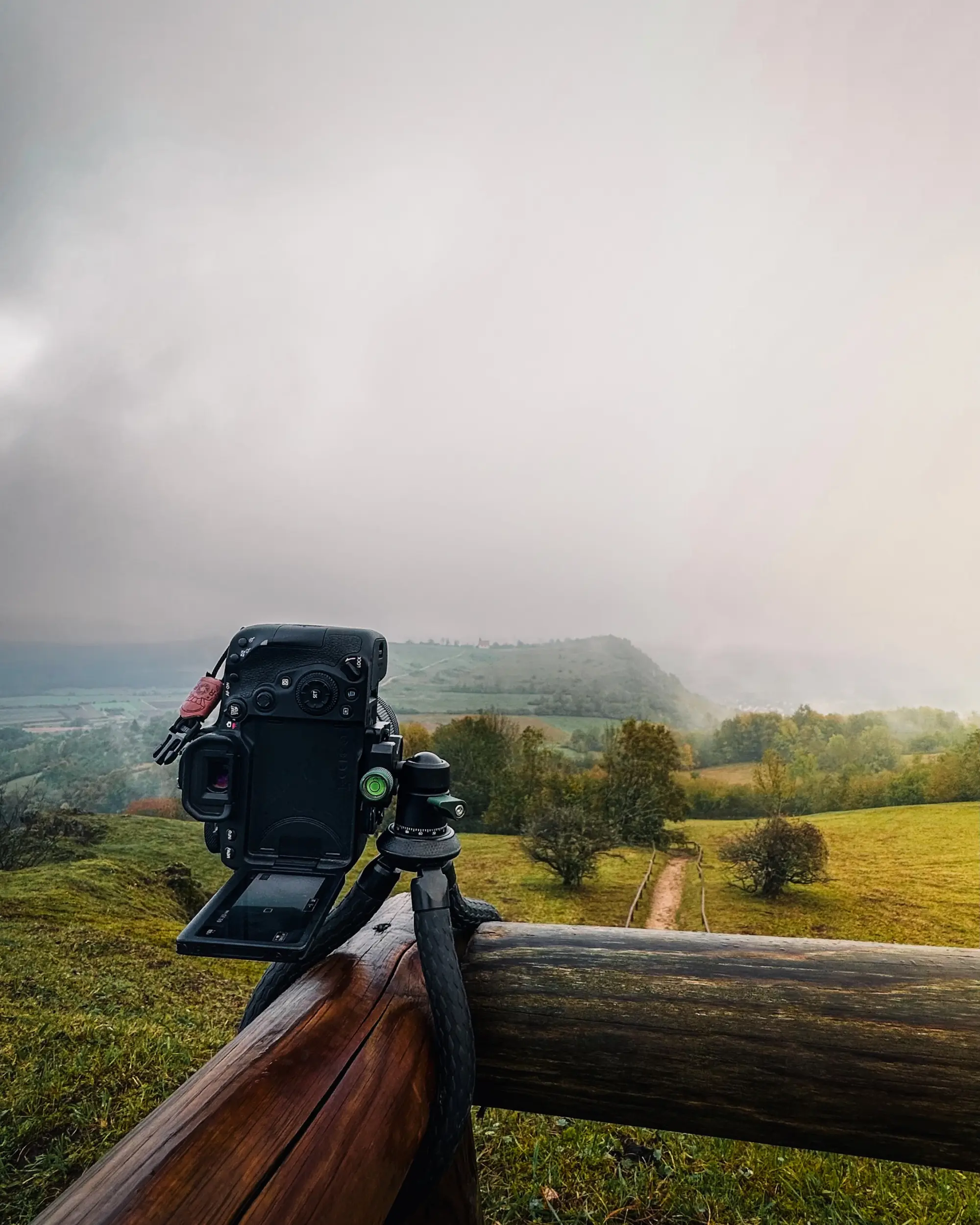 Canon EOS 90D auf dem C-Rope Creatorpod mit Blick auf das Walberla