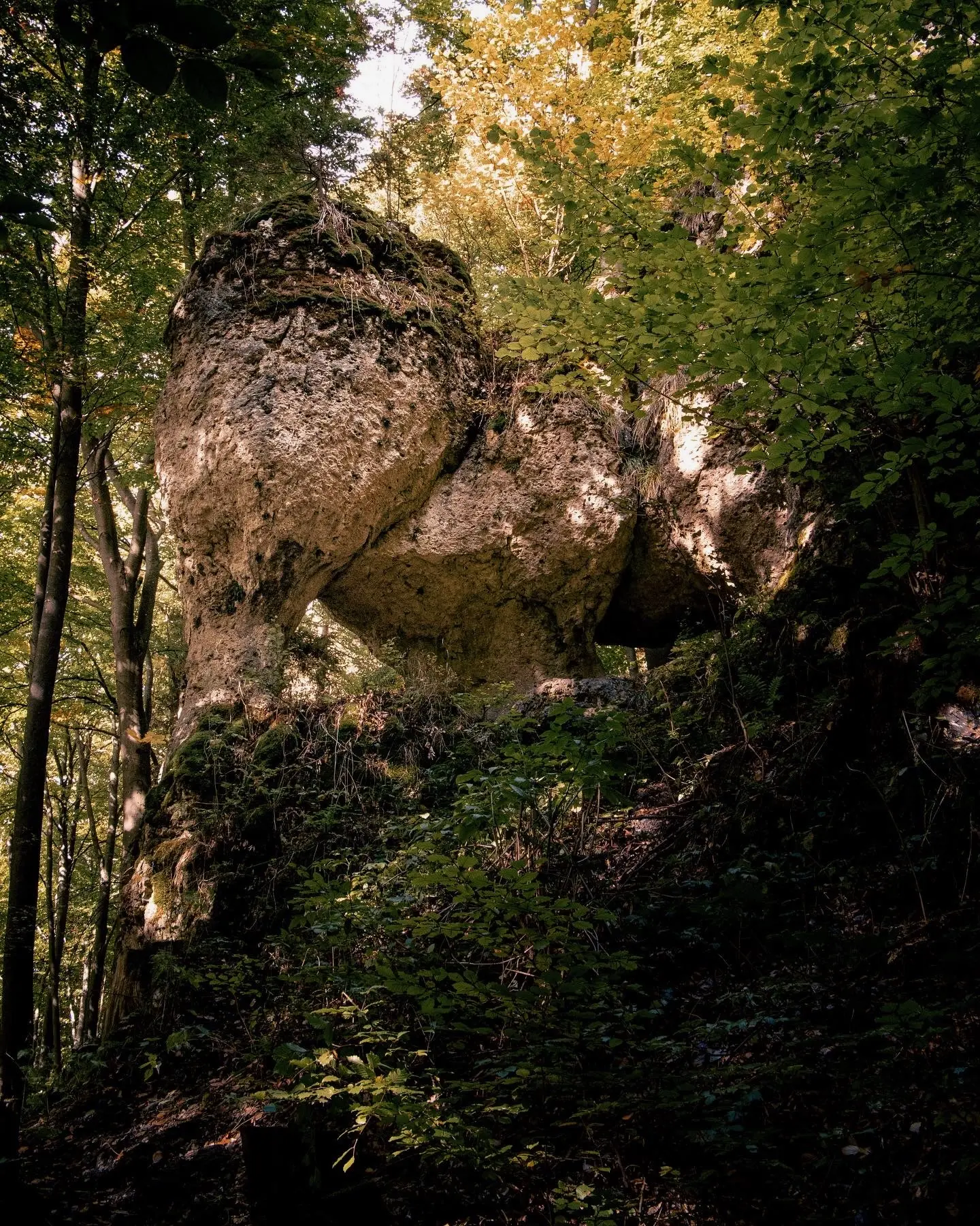 Der Jura Elefant, ein Fels welcher wie ein Elefant aussieht, in der Fränkischen Schweiz. Motiv-Jagd bei der Waldfotografie.