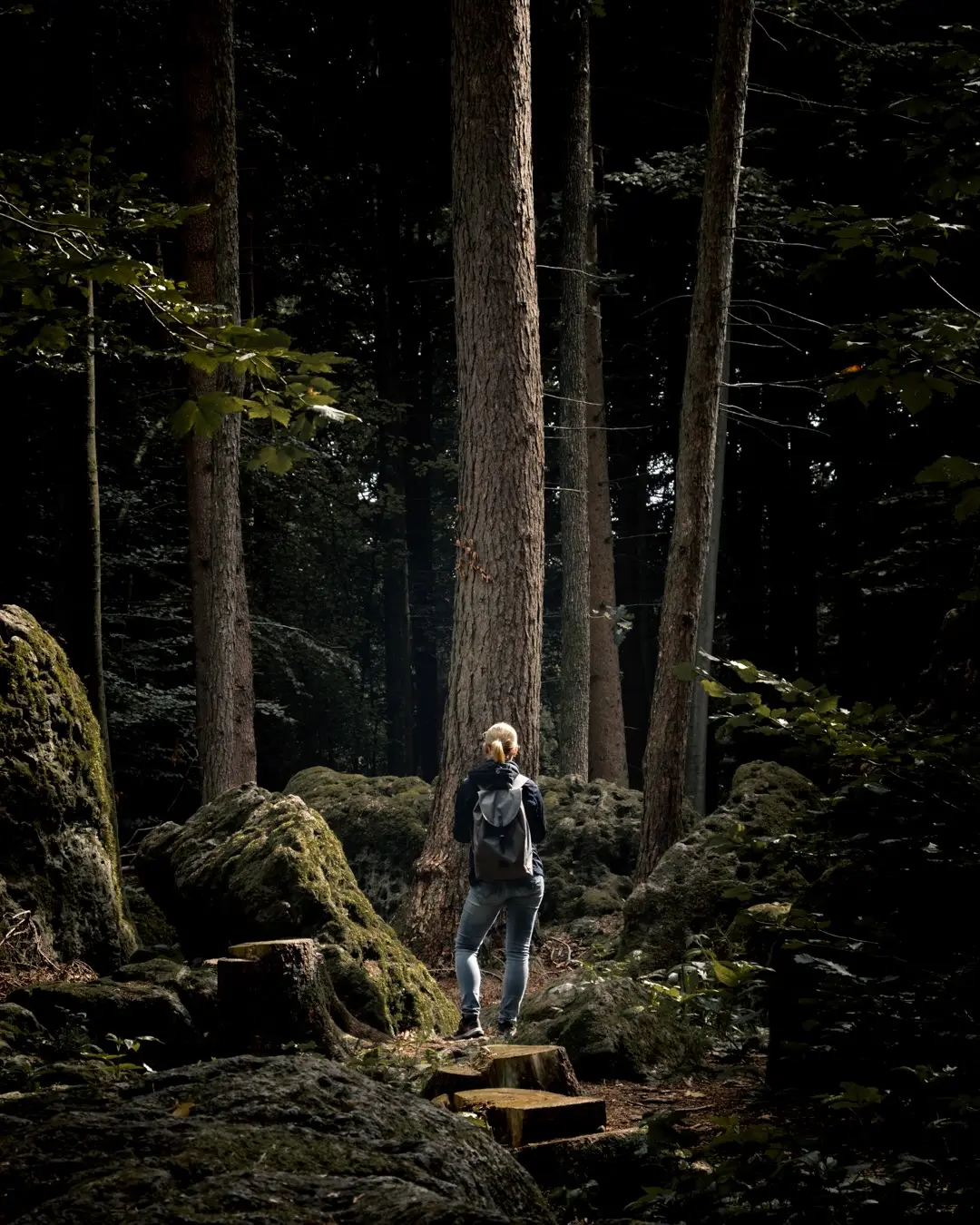 Waldfotografie Glück: Ein Lichtspot am Druidenhain in der Fränkischen Schweiz