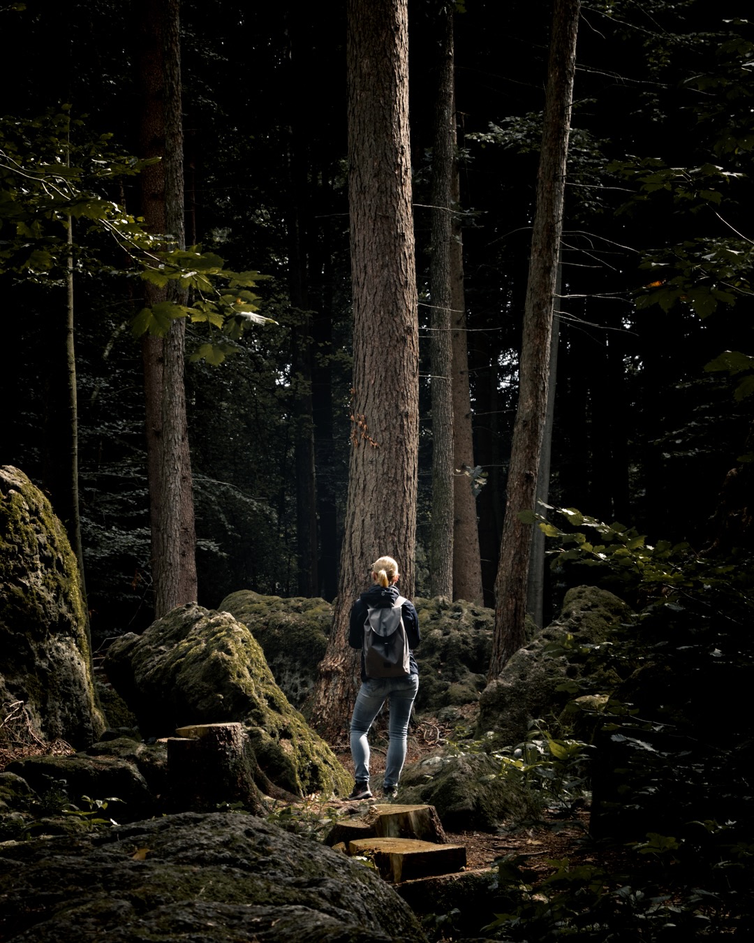 Waldfotografie Glück: Ein Lichtspot am Druidenhain in der Fränkischen Schweiz