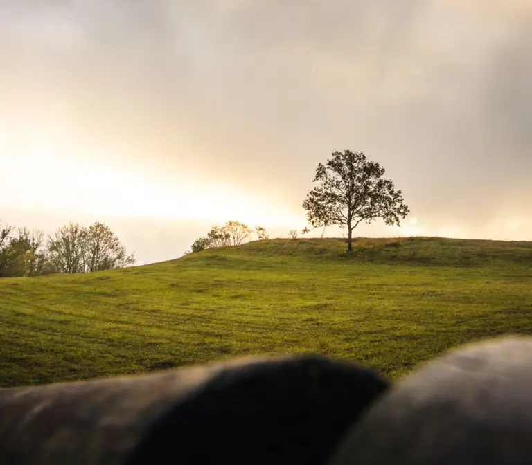 5 Fehler beim fotografieren in der Natur und wie ich sie vermeide