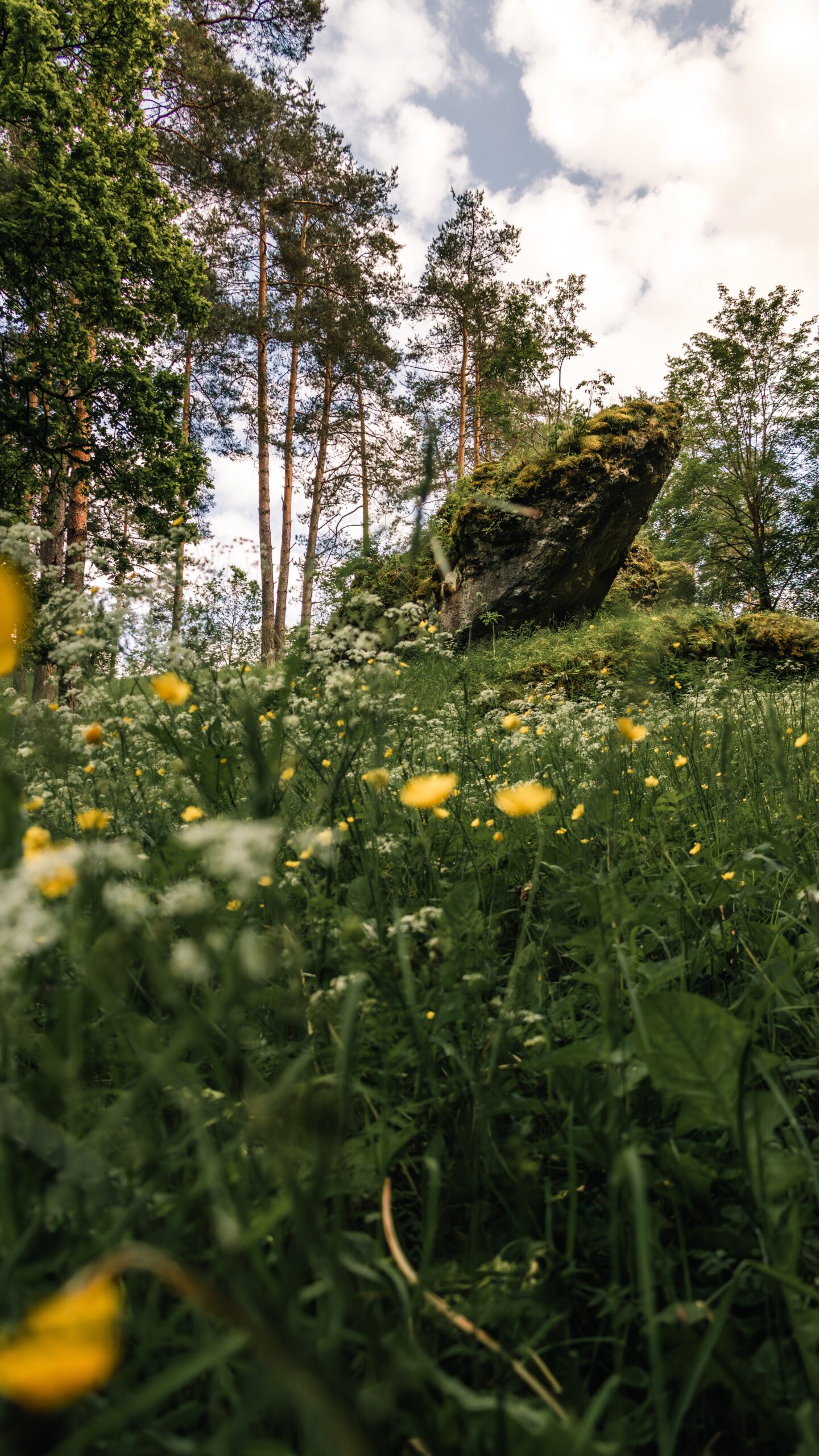 Frühling im Leinleitertal